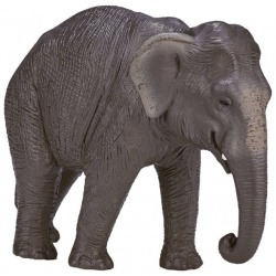 Konik Азиатский слон AMW2115  Фигурки животных — это
