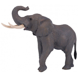 Konik Африканский слон самец AMW2003  Фигурки