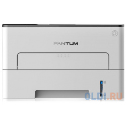 Лазерный принтер Pantum P3010D 