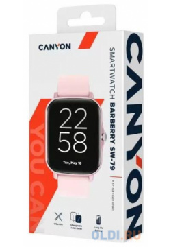 CANYON Smart watch  1 69inches TFT full touch screen Zinic+plastic body IP67 waterproof multi sport mode compatibility with iOS and android Pink CNS SW79PP