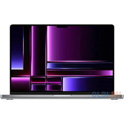 Ноутбук Apple MacBook Pro A2780 MNW83RU/A 16" 