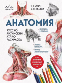 Анатомия: русско латинский атлас раскраска (новое оформление  новый формат) Эксмо 978 5 04 173857 0