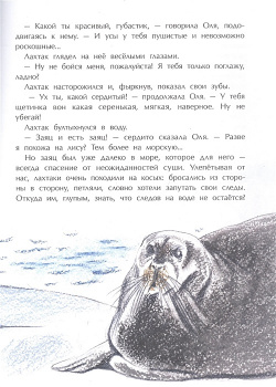 Заяц в море  Рассказы о Северной Камчатке Настя и Никита 978 5 907684 89 8