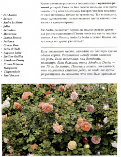 Розы  Как выбирать выращивать и наслаждаться в любом саду ООО "Издательство Астрель" 978 5 17 156974 7