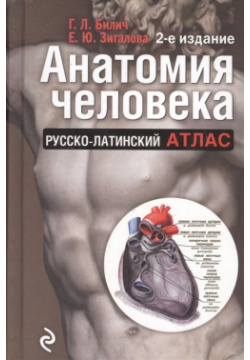 Анатомия человека: Русско латинский атлас  2 е издание Эксмо 978 5 699 87658 7