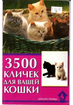 3500 кличек для вашей кошки 