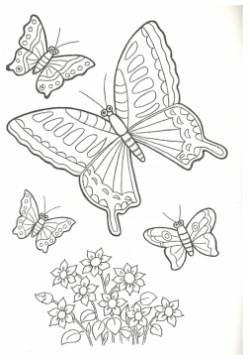 Цветы и бабочки (раскраска большого формата) Алтей Ко ООО 978 5 9930 1987 1