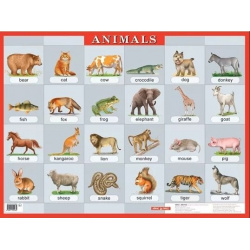 Животные : Animals наглядное пособие Айрис пресс 978 5 8112 4026 