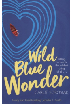 Wild Blue Wonder Macmillan 978 1 5098 3605 5 For Quinn and her sister  Fern