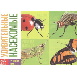 Обучающая книга «Удивительные насекомые» БУКВА ЛЕНД 978 5 00145 704 6 