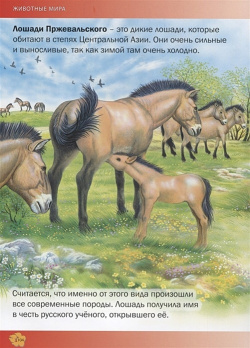 Лучшая энциклопедия животных для детей Владис 978 5 9567 2500 9
