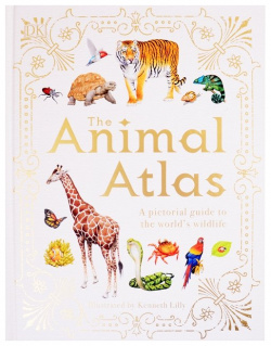 The Animal Atlas DK 978 0 241 41278 7 Explore kingdom with this