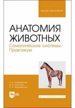 Анатомия животных  Соматические системы Практикум Учебное пособие для вузов Лань 978 5 8114 8155 2