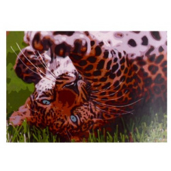 Раскраска по номерам на картоне А3 "Игривый леопард"  30 х 40 см К
