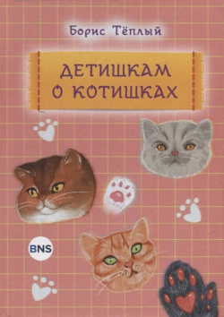 Детишкам о котишках BooksNonStop 978 5 9965 1990 3 