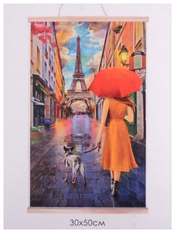 Картина для раскрашивания по номерам  Панно "Дождливый день в Париже"
