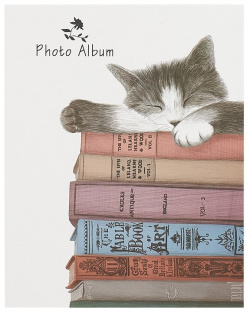Фотоальбом на 100 фотографий  «Кот и книги» 10 х 15 см