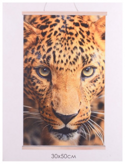 Картина для раскрашивания по номерам  ПАННО Леопард 30x50 см