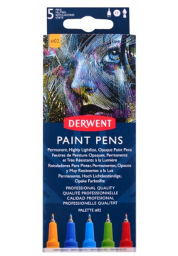 Набор капиллярных ручек Paint Pen №2 5шт 