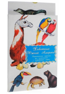 Животные Южной Америки Дидактические карточки для ознакомления с окружающим миром 