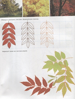 Деревья и листья  Познавательные прописи Для детей 5 9 лет Феникс+ 978 500 00083