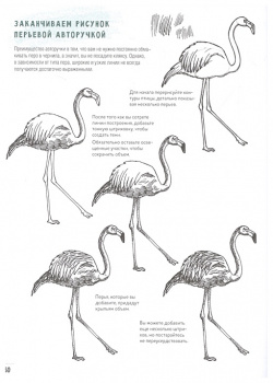 Создаем наброски животных и птиц шаг за шагом: 50 проектов с подробными объяснениями рисунками + чистые страницы для рисования Контэнт 978 5 00141 321 9
