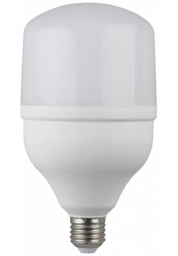 Светодиодная лампа ЭРА Б0027006 LED smd POWER 40W 6500 E27 20/200