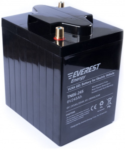 Тяговая аккумуляторная батарея EVEREST Energy TNE 6 245