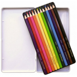 Набор цветных карандашей ACMELIAE  9800 12