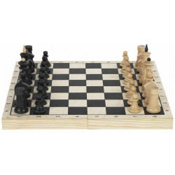 Турнирные шахматы Золотая сказка  664670