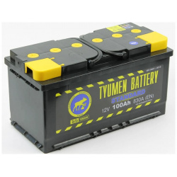 Аккумуляторная батарея TYUMEN BATTERY  TNS100 1