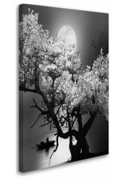 Постер (картина) Студия фотообоев 2436650 одинокое дерево