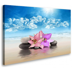 Постер Студия фотообоев 2436484 Орхидеи на пляже