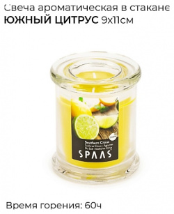 SPAAS Свеча ароматическая в стакане Южный цитрус 1 MPL085634