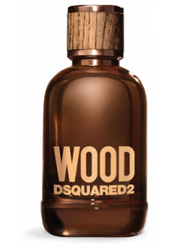 DSQUARED2 Wood Pour Homme 100 DSQ005B10