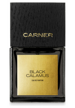 CARNER BARCELONA Black Calamus 100 RBA000037