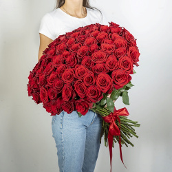 ЛЭТУАЛЬ FLOWERS Букет из высоких красных роз Эквадор 75 шт  (70 см) MPL168425