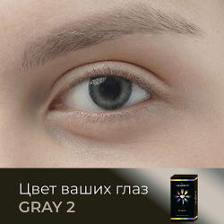 OKVISION Цветные контактные линзы Fusion color Gray 2 на 3 месяца MPL181399