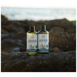 PETAL FRESH Шампунь для волос укрепляющий с экстрактом морских водорослей и аргановым маслом Strengthening Shampoo Seaweed & Argan Oil PTF594326