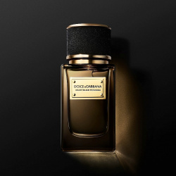 DOLCE&GABBANA Velvet Collection Black Patchouli 150 Dolce & Gabbana ESH818175