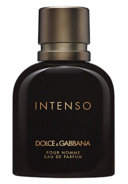 DOLCE&GABBANA Pour Homme Intenso 125 Dolce & Gabbana DGB442929