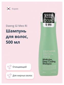 DAENG GI MEO RI Шампунь для волос LOOK AT HAIR LOSS (для жирной кожи головы) 500 MPL000248