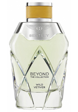BENTLEY Beyond the Collection Wild Vetiver 100 BNY150570