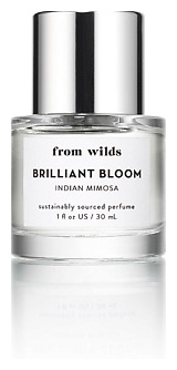 FROM WILDS Brilliant Bloom Indian Mimosa 30 FWL000010