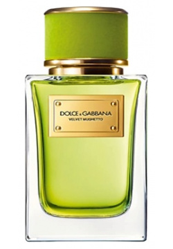 DOLCE&GABBANA Velvet Collection Mughetto 100 Dolce & Gabbana ESH818620