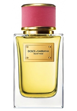 DOLCE&GABBANA Velvet Collection Rose 100 Dolce & Gabbana ESH818621