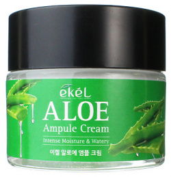 EKEL Крем для лица с Алоэ Ампульный Увлажняющий Ampule Cream Aloe 70 MPL091432