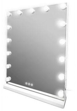 FENCHILIN Профессиональное настольное зеркало с подсветкой  46х58 MPL303697