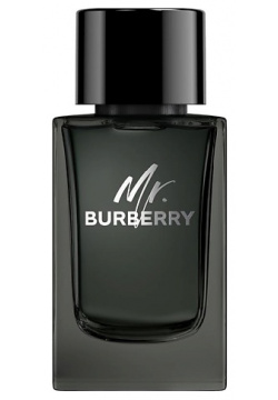 BURBERRY Mr  Eau de Parfum 150 EBUR38274
