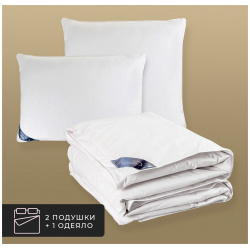 Набор 1 одеяло + 2 подушки Шале  100% венгерский гусиный пух в хлопковом тике (200х210 50х70 шт) CLASSIC by T clbt912368